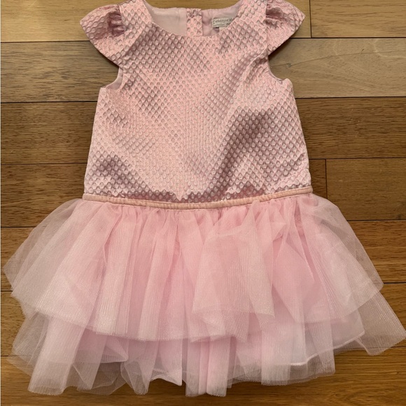 Catherine Malandrino Other - Catherine Malandrino Pink Tulle Shimmer Dress